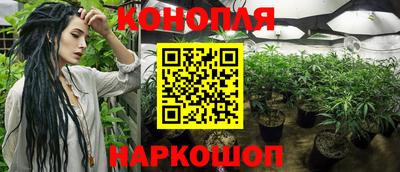 амф Боровичи